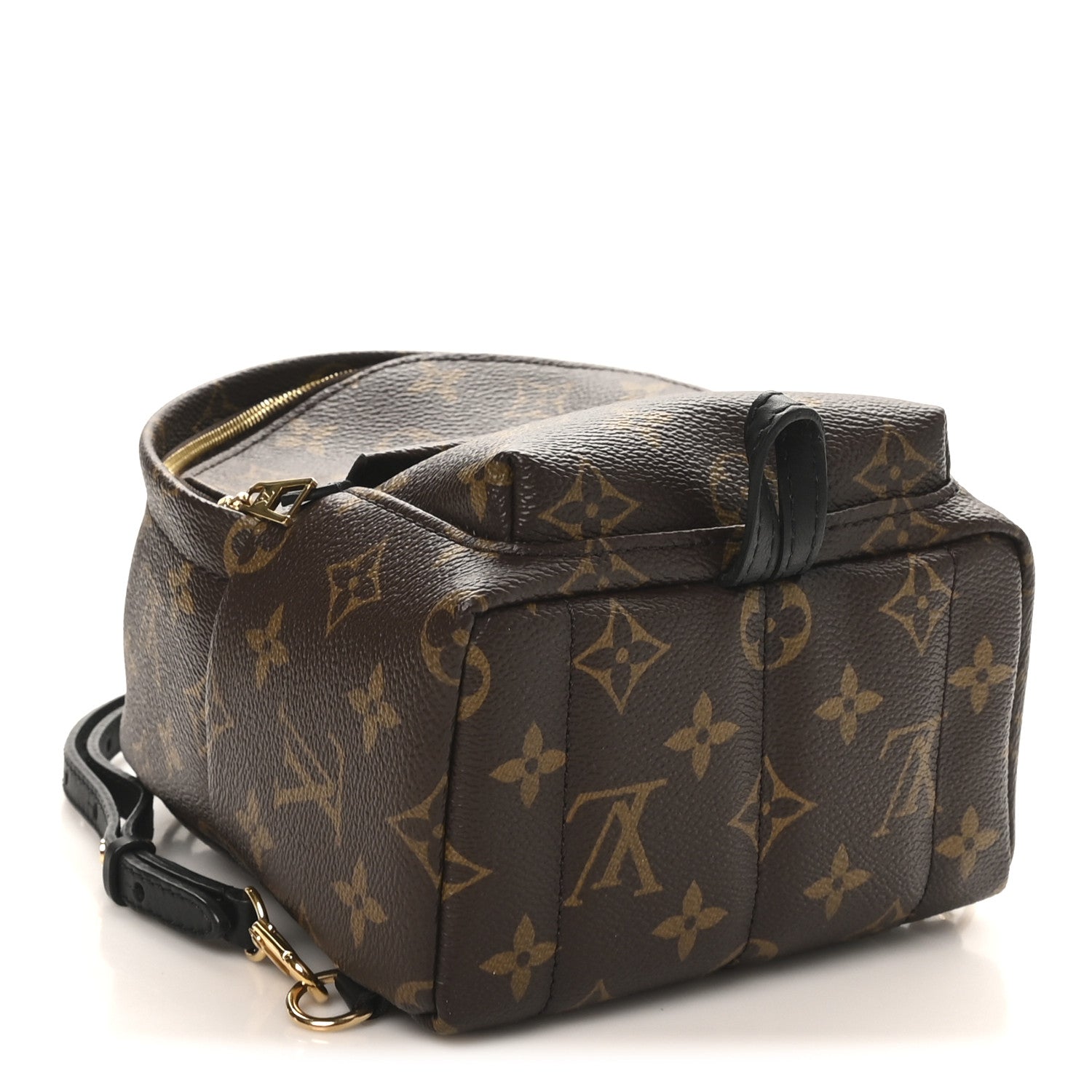 Louis Vuitton Monogram Palm Springs Backpack Mini