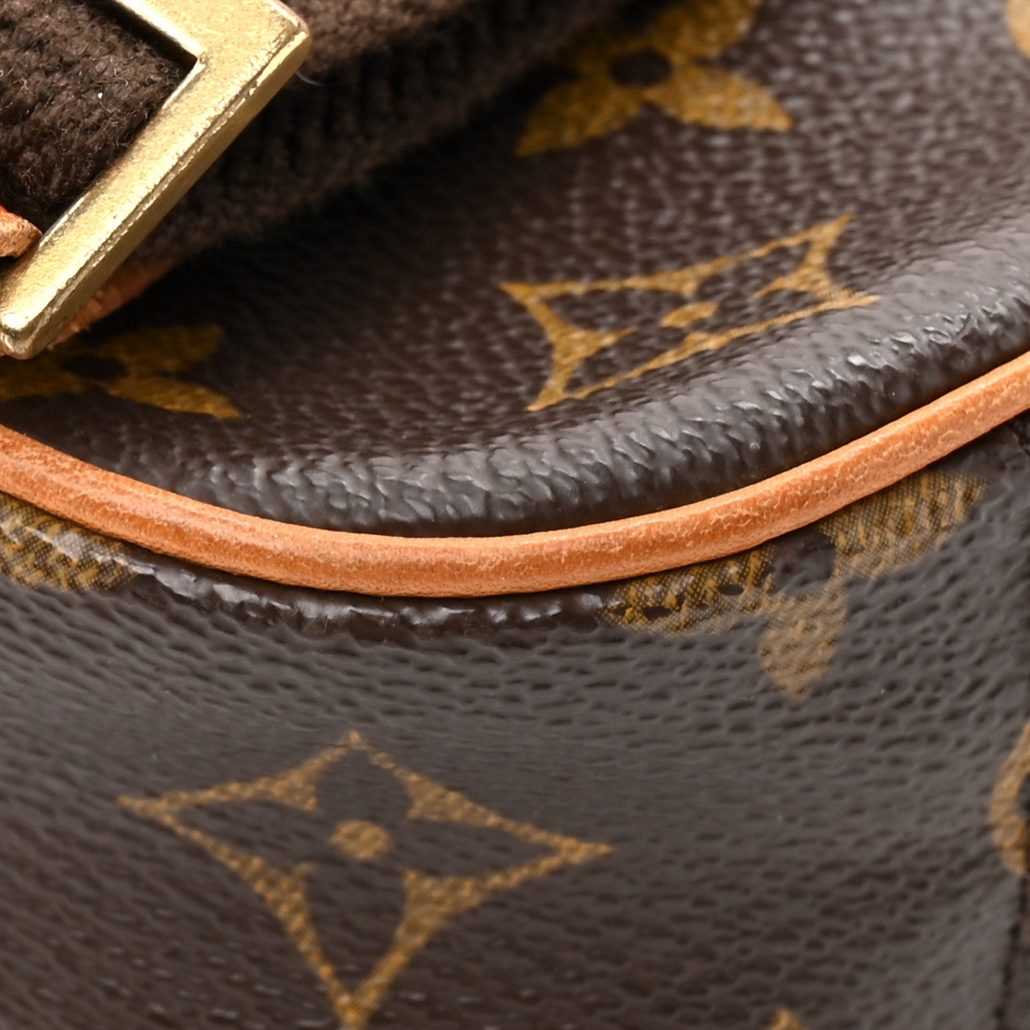 Louis Vuitton Monogram Pochette Gange