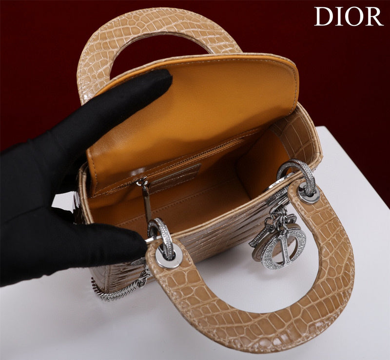Dior Bag