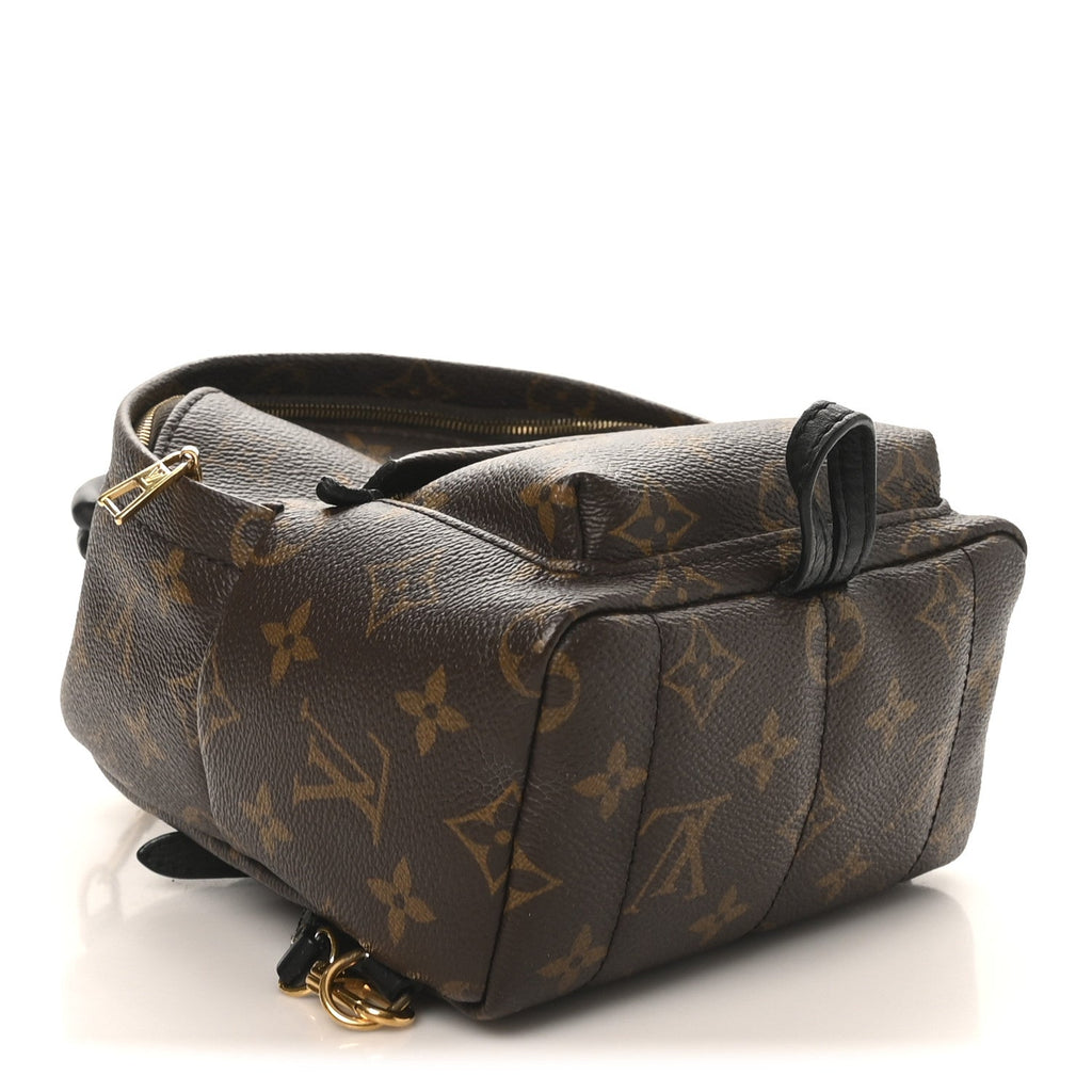 Louis Vuitton Monogram Palm Springs Backpack Mini