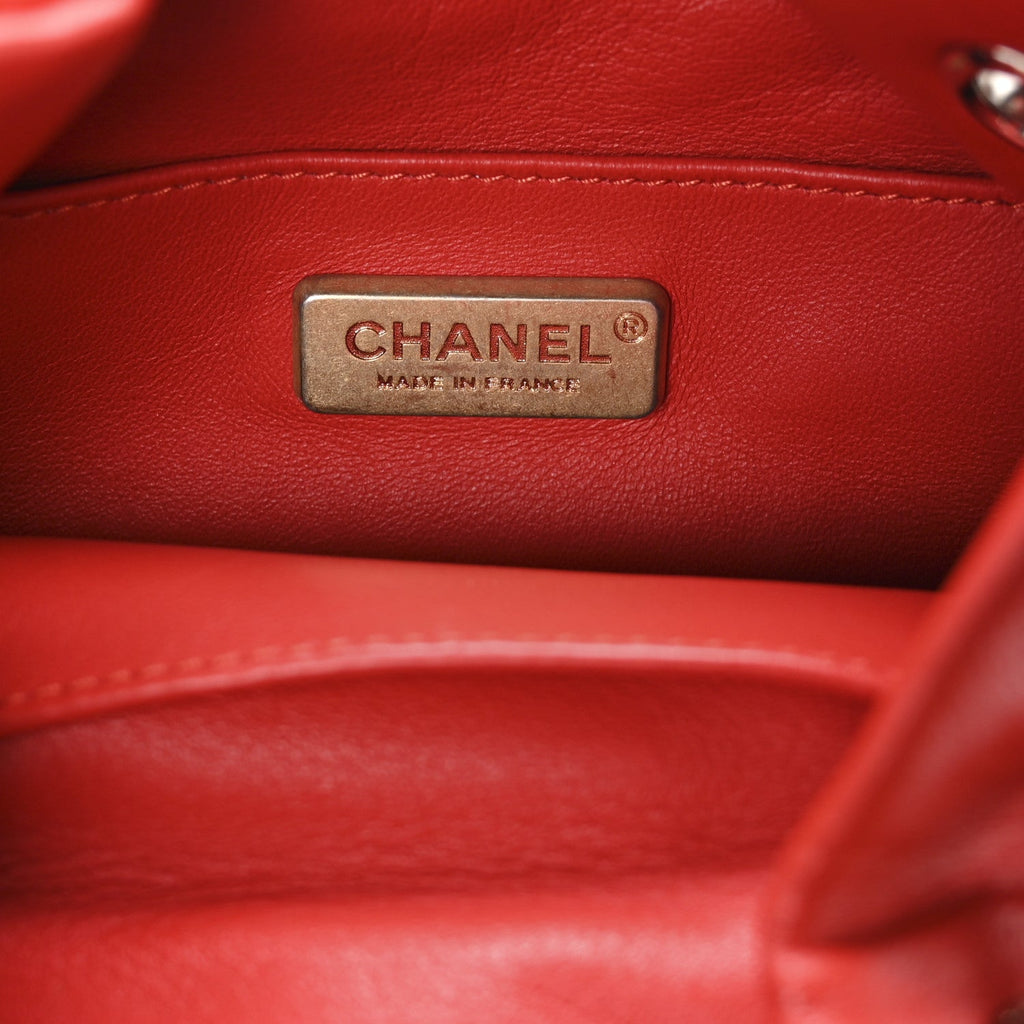 Chanel Snakeskin Calfskin Gabrielle Bucket Red