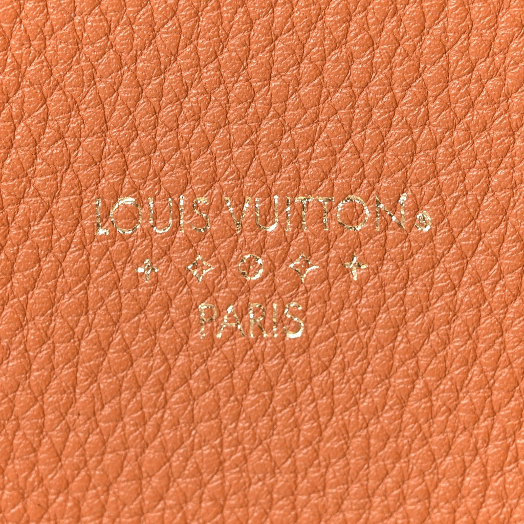 Louis Vuitton Grained Calfskin LV Pont 9 Soft MM Golden Siena