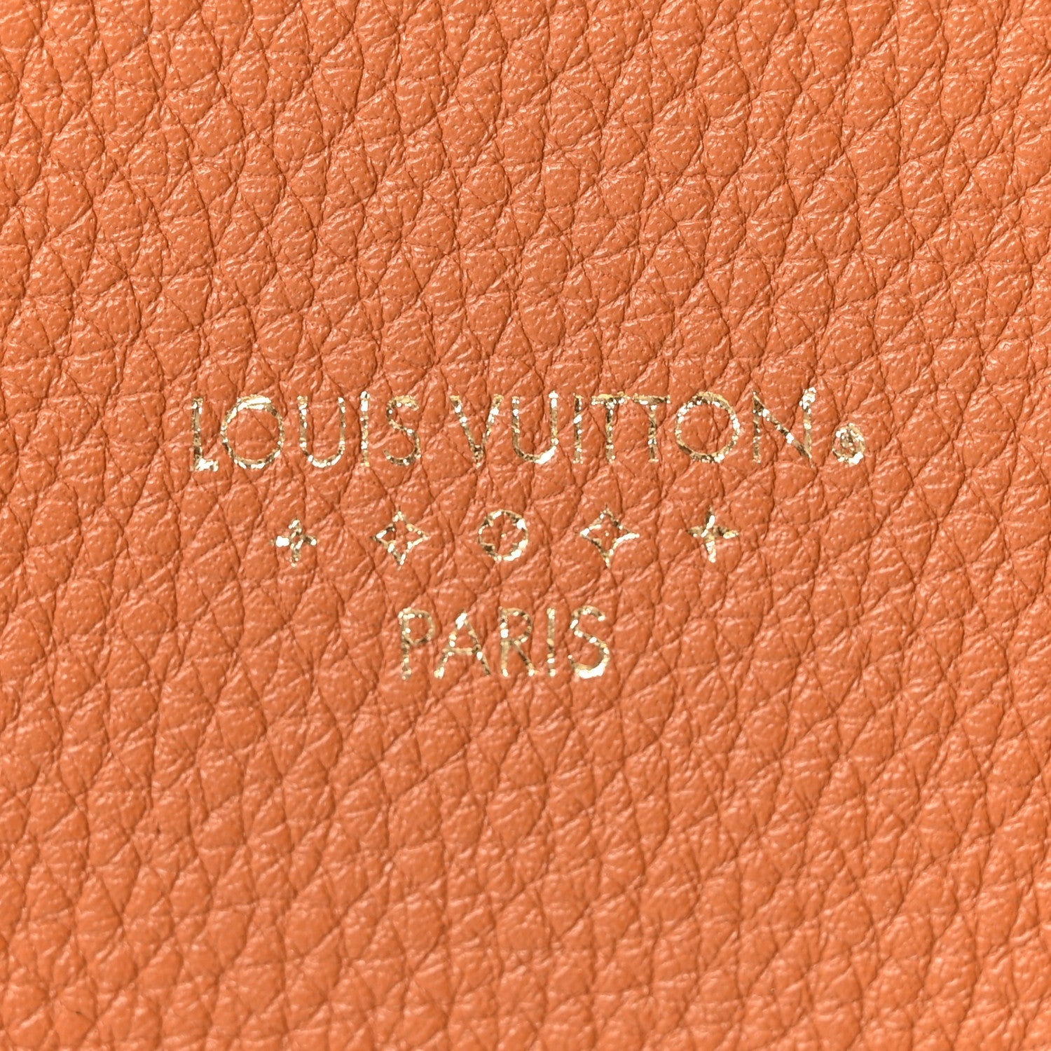 Louis Vuitton Grained Calfskin LV Pont 9 Soft MM Golden Siena