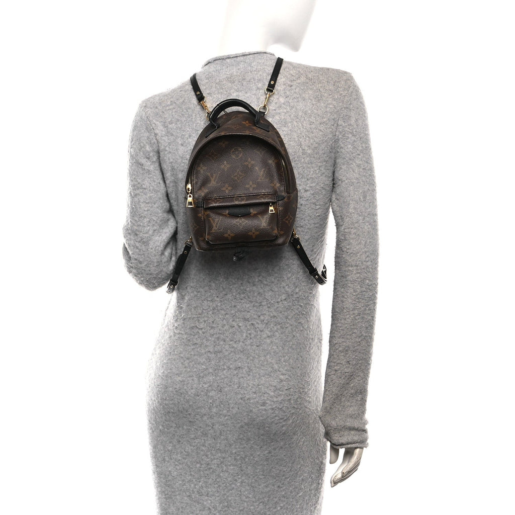 Louis Vuitton Monogram Palm Springs Backpack Mini