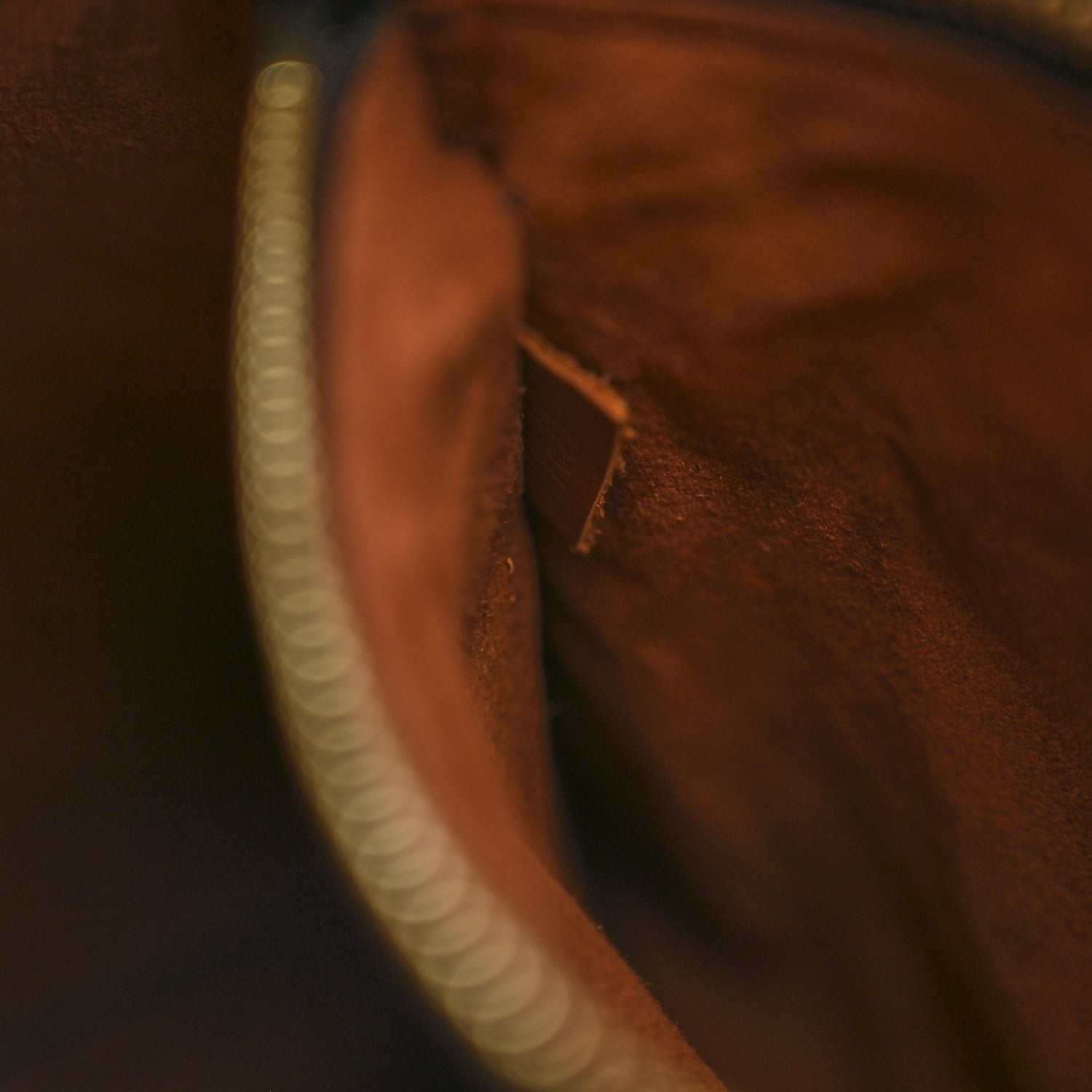 Louis Vuitton Monogram Neonoe MM Caramel