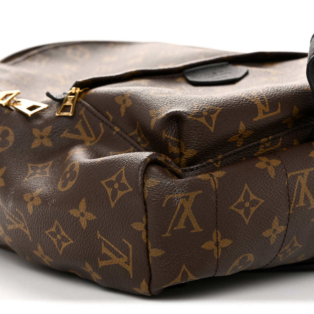 Louis Vuitton Monogram Palm Springs Backpack MM