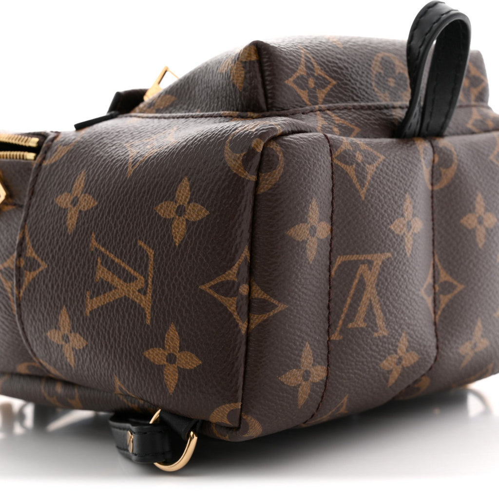 Louis Vuitton Monogram Palm Springs Backpack Mini
