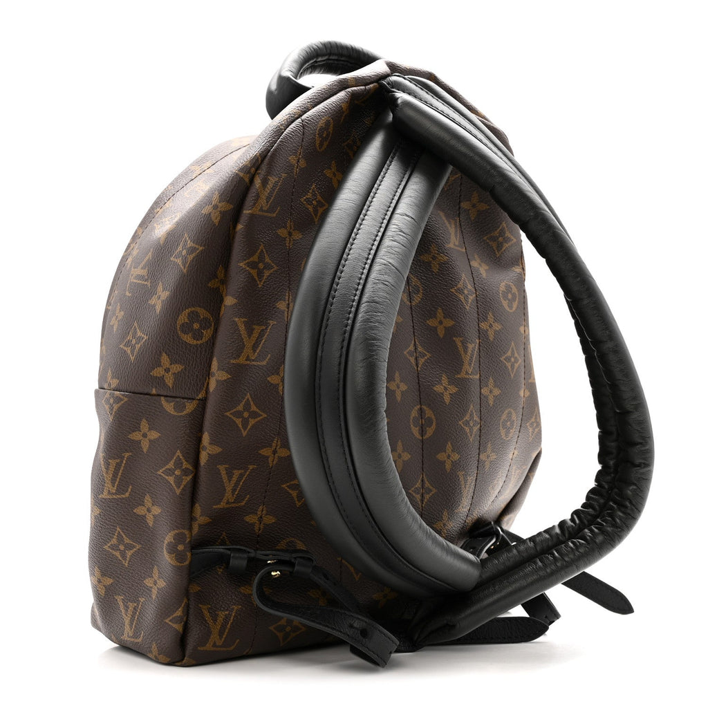 Louis Vuitton Monogram Palm Springs Backpack MM