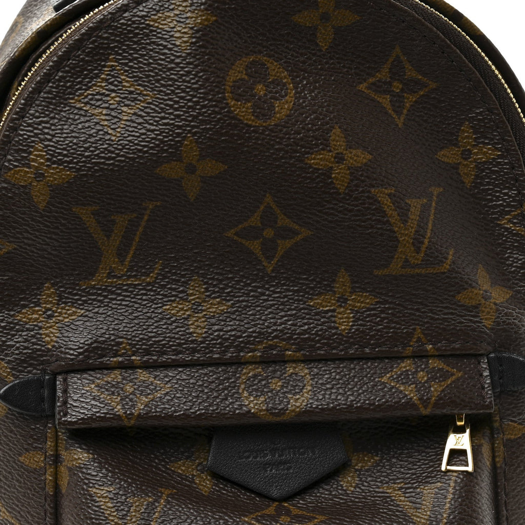 Louis Vuitton Monogram Palm Springs Backpack Mini