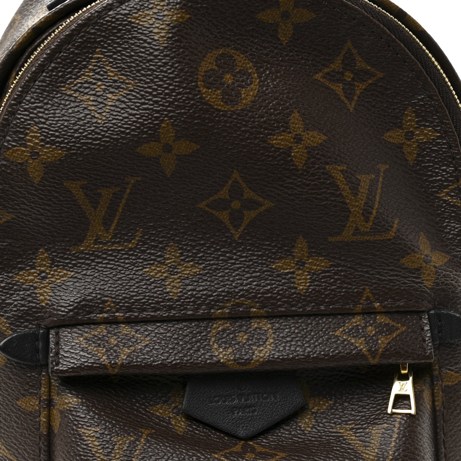 Louis Vuitton Monogram Palm Springs Backpack Mini