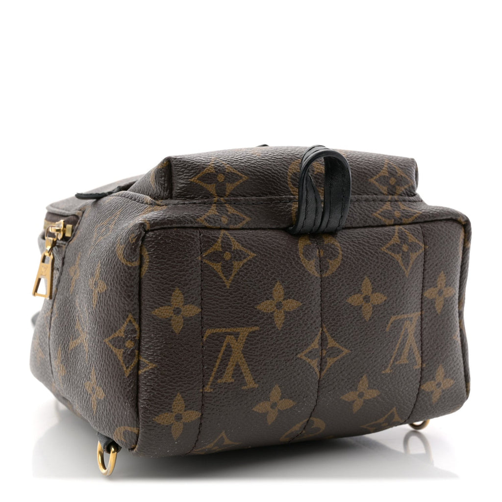Louis Vuitton Monogram Palm Springs Backpack Mini