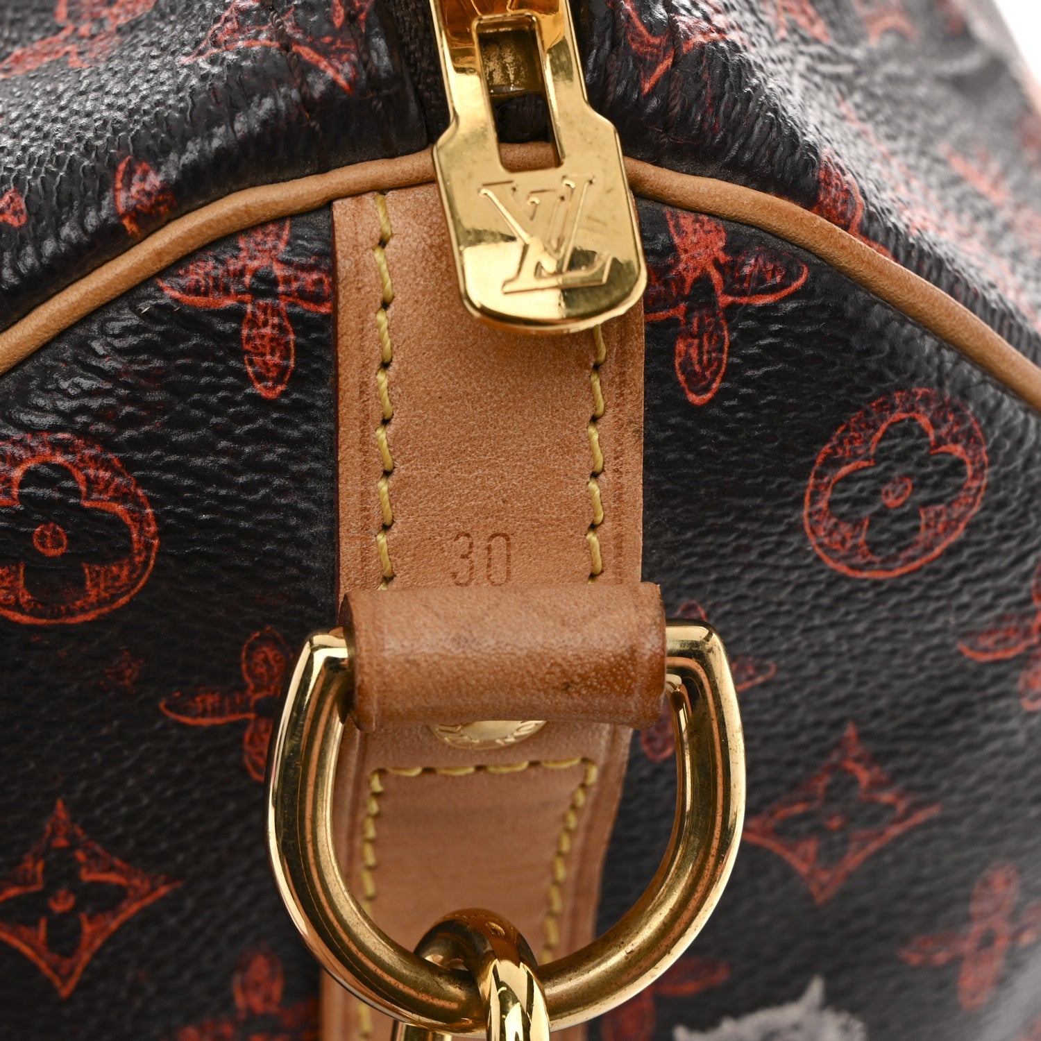 Louis Vuitton Catogram Speedy Bandouliere 30 Marron