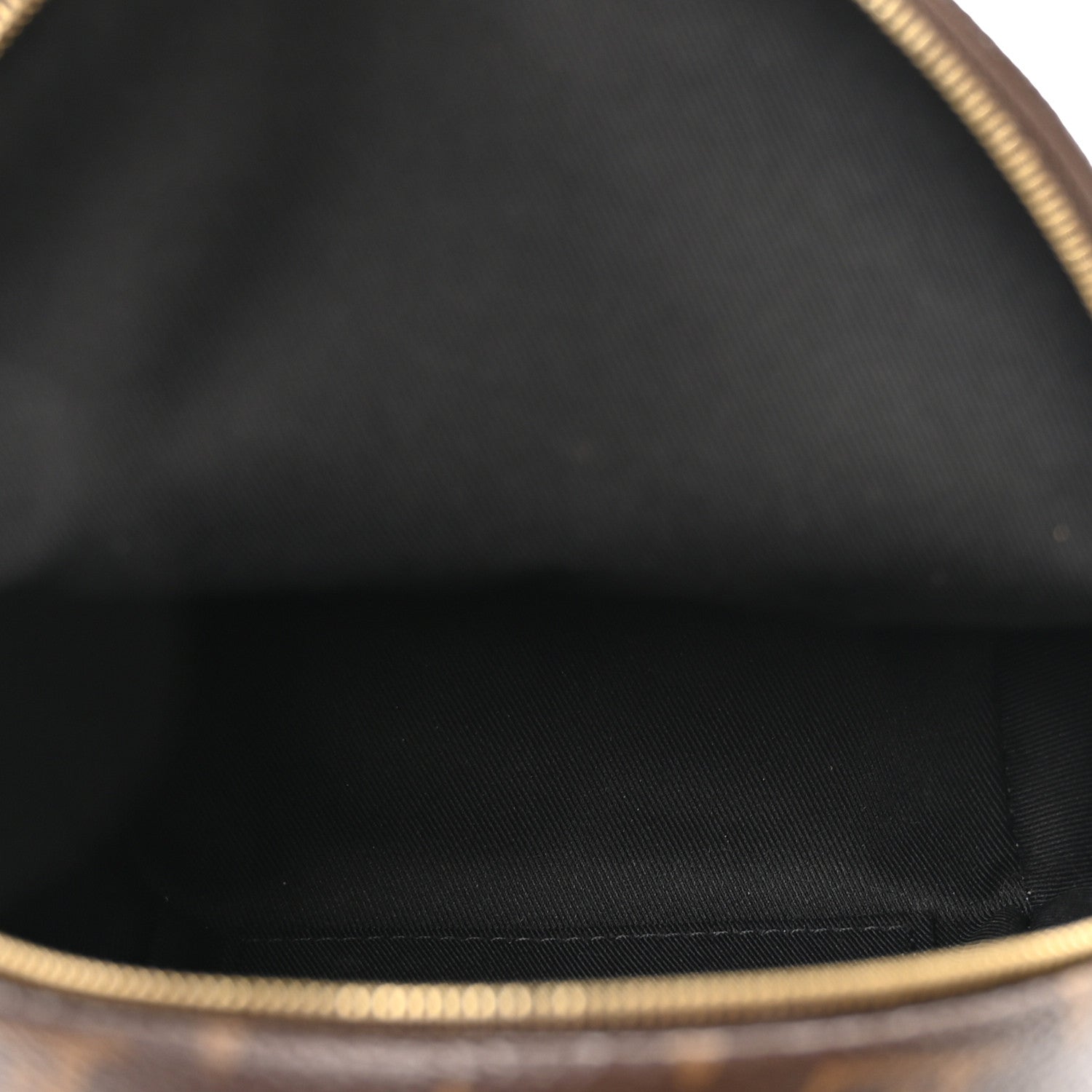Louis Vuitton Monogram Palm Springs Backpack Mini