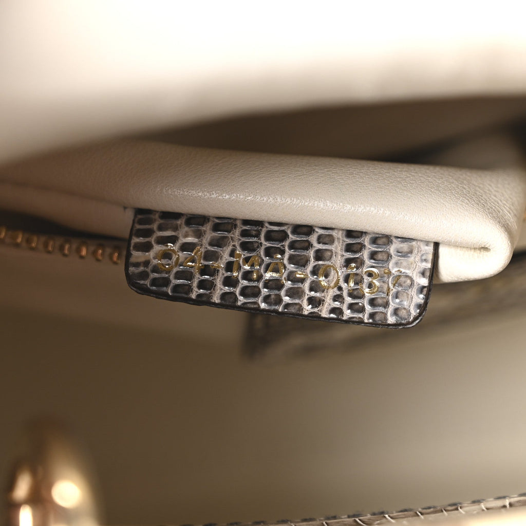 Christian Dior Lizard Ombre Mini Lady Dior