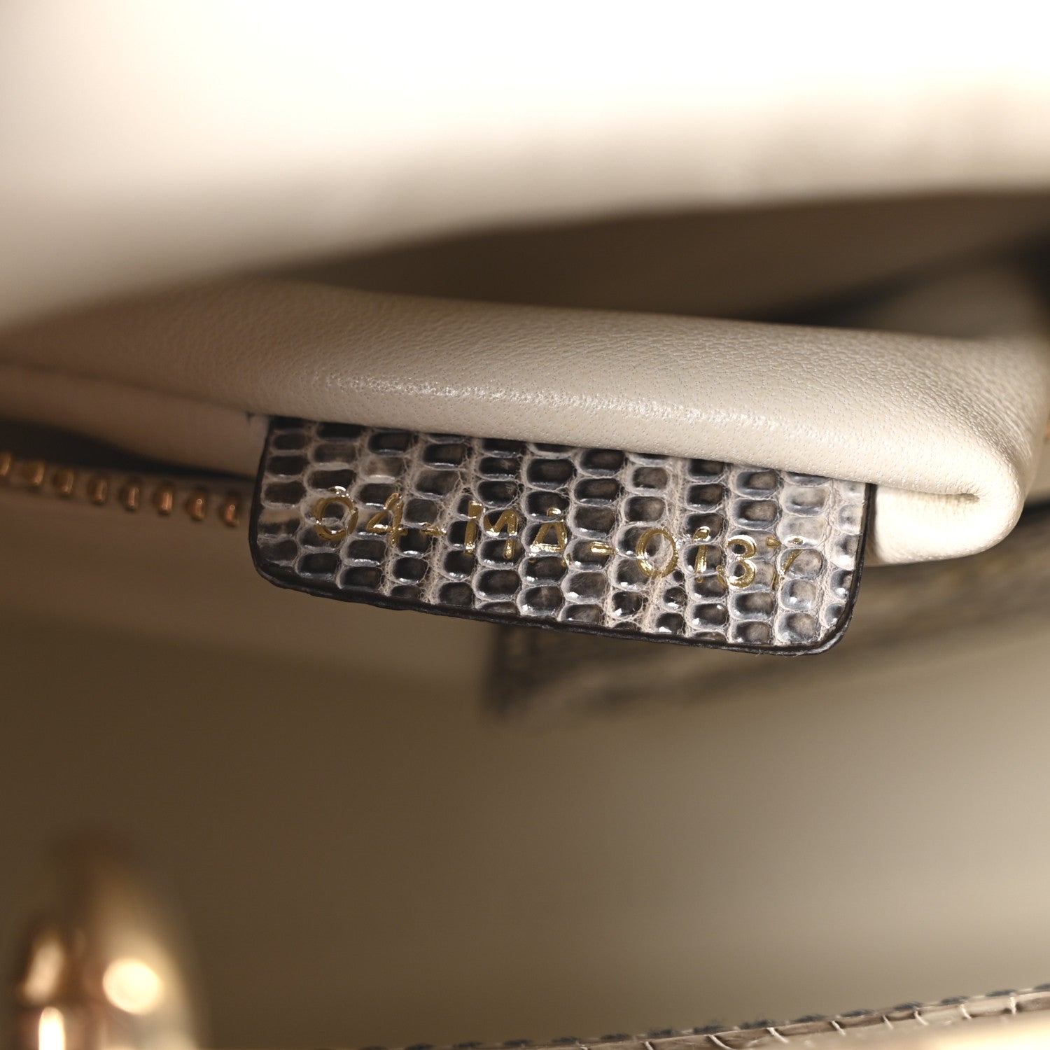 Christian Dior Lizard Ombre Mini Lady Dior