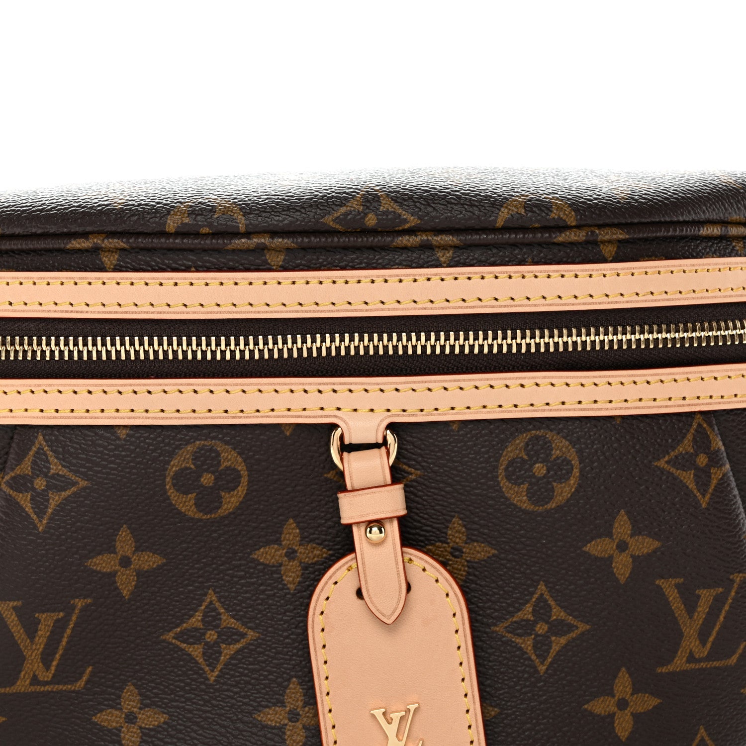 Louis Vuitton Monogram High Rise Bumbag