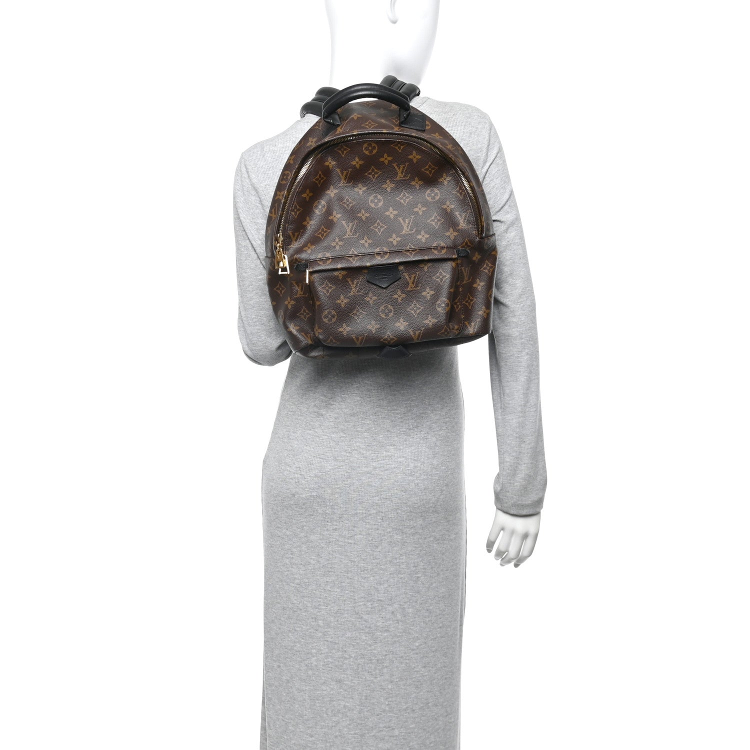Louis Vuitton Monogram Palm Springs Backpack MM