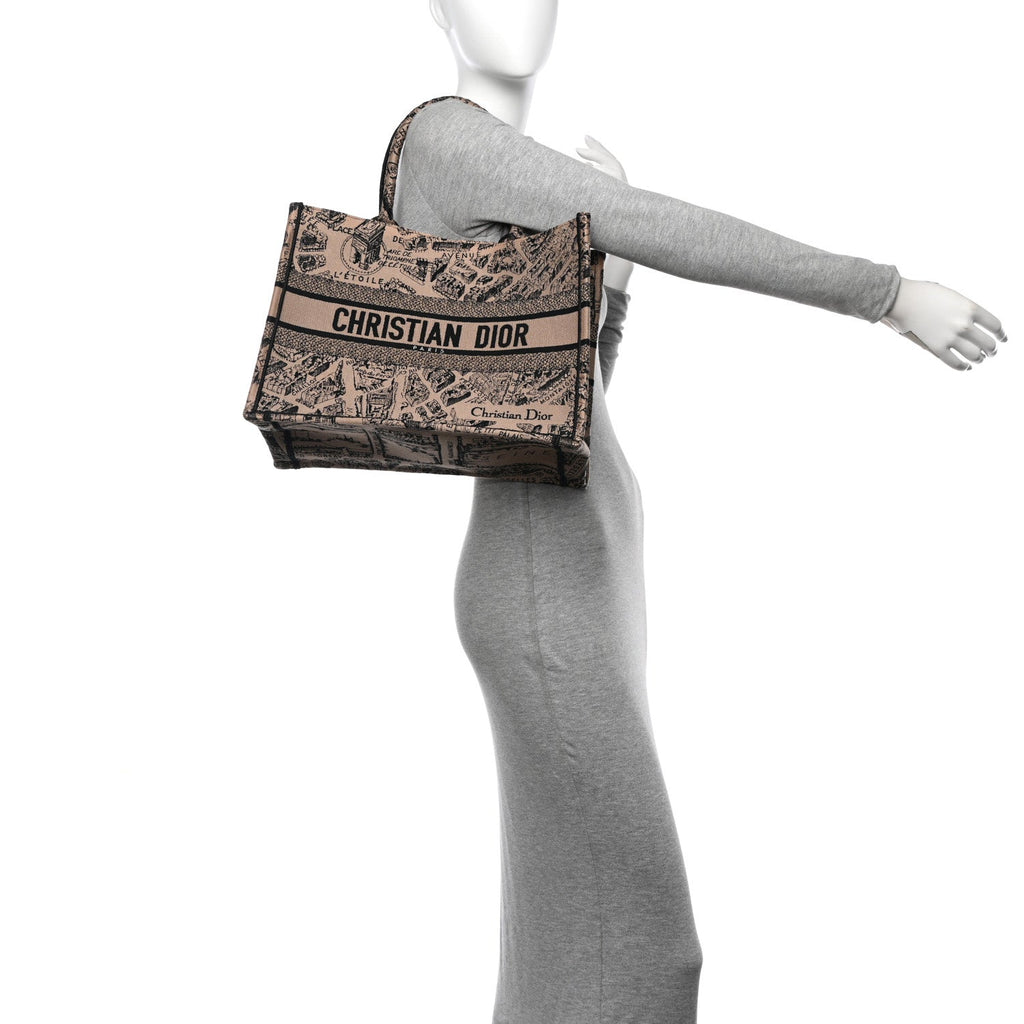 Christian Dior Canvas Embroidered Medium Plan De Paris Book Tote Beige Multi