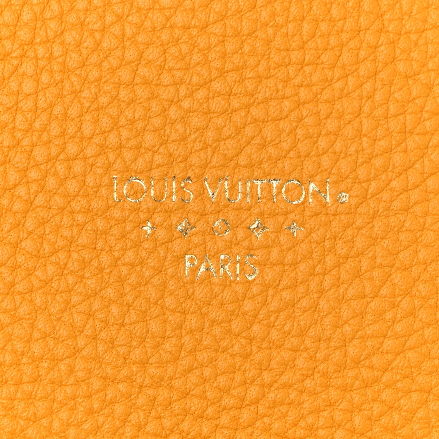 Louis Vuitton Grained Calfskin LV Pont 9 Soft PM Sunbeam