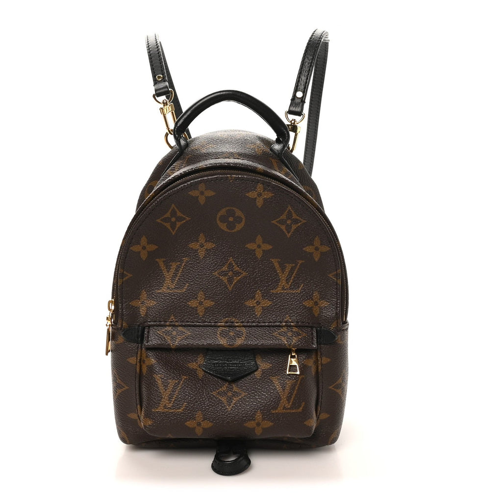 Louis Vuitton Monogram Palm Springs Backpack Mini