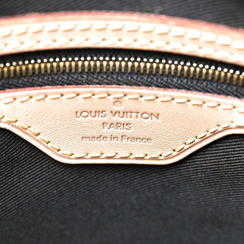 Louis Vuitton Reverse Monogram Carry It