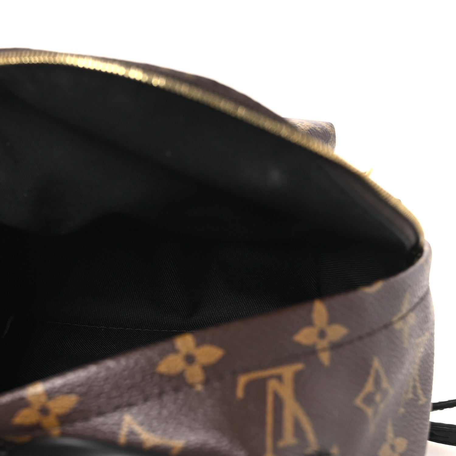 Louis Vuitton Monogram Palm Springs Backpack Mini