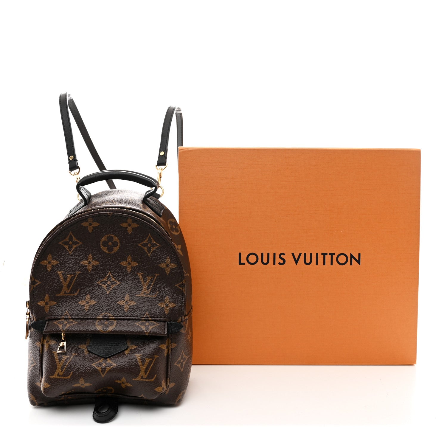 Louis Vuitton Monogram Palm Springs Backpack Mini