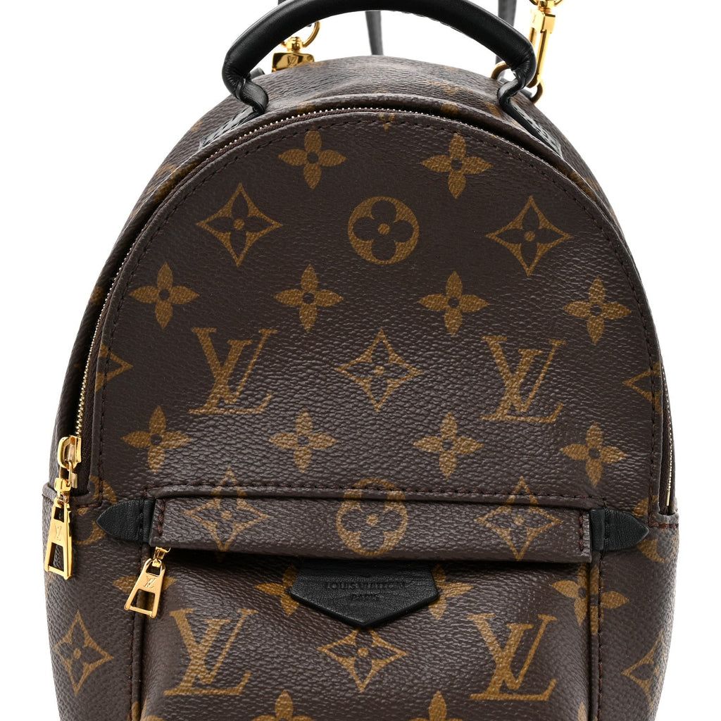 Louis Vuitton Monogram Palm Springs Backpack Mini