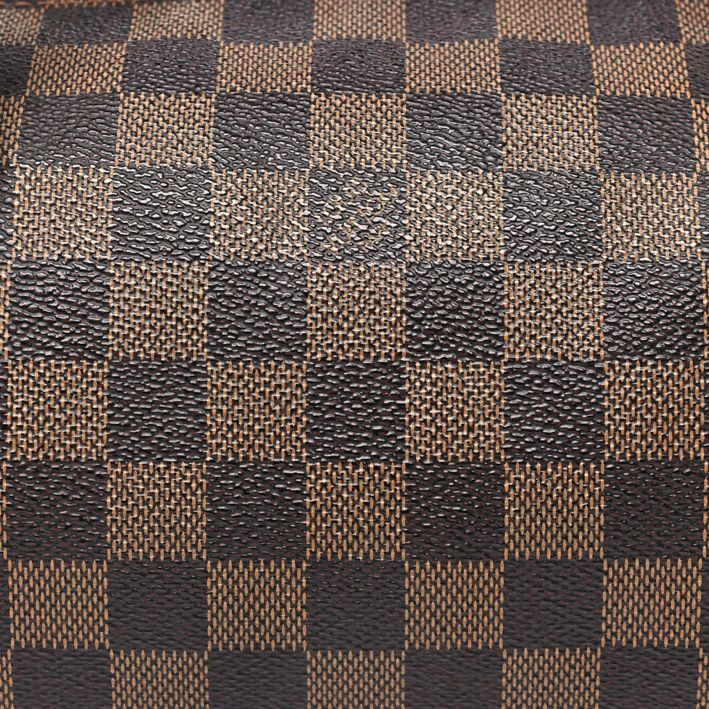 Louis Vuitton Damier Ebene Papillon 30 With Companion