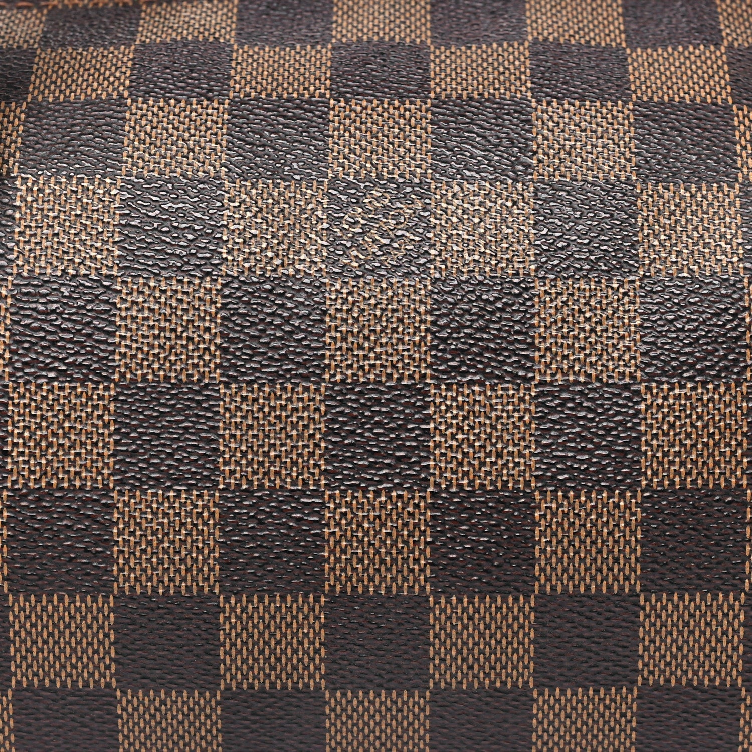 Louis Vuitton Damier Ebene Papillon 30 With Companion