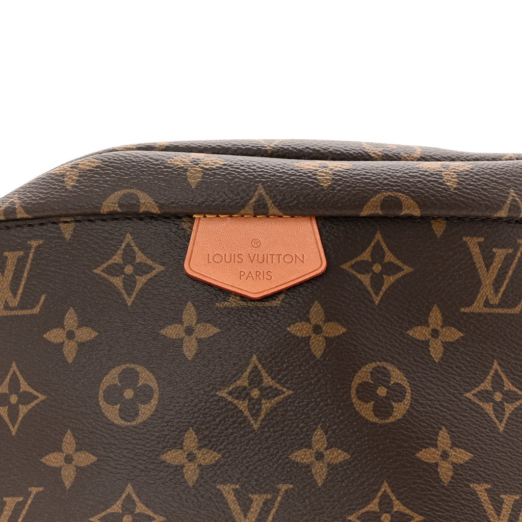 Louis Vuitton Monogram Bumbag