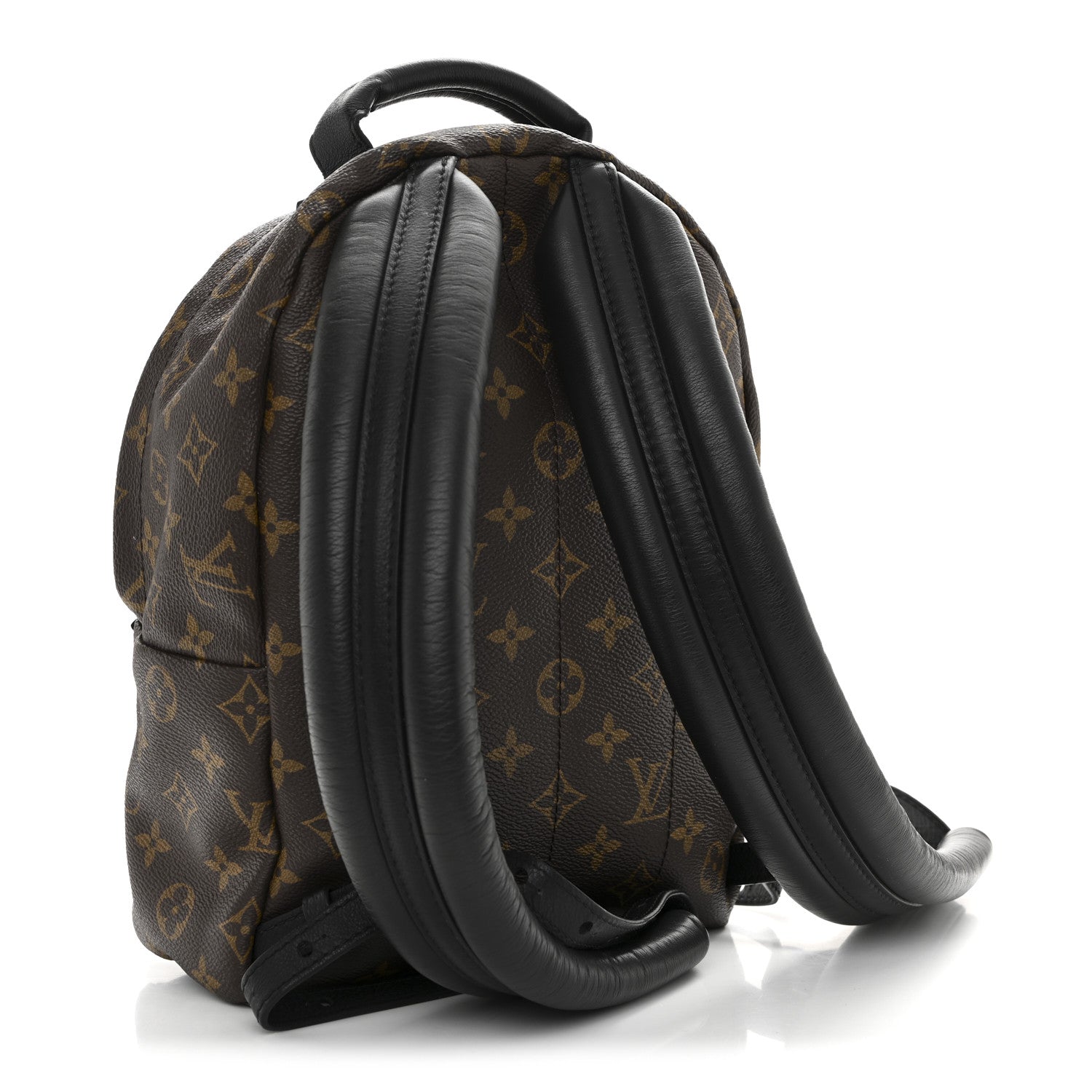 Louis Vuitton Monogram Palm Springs Backpack PM