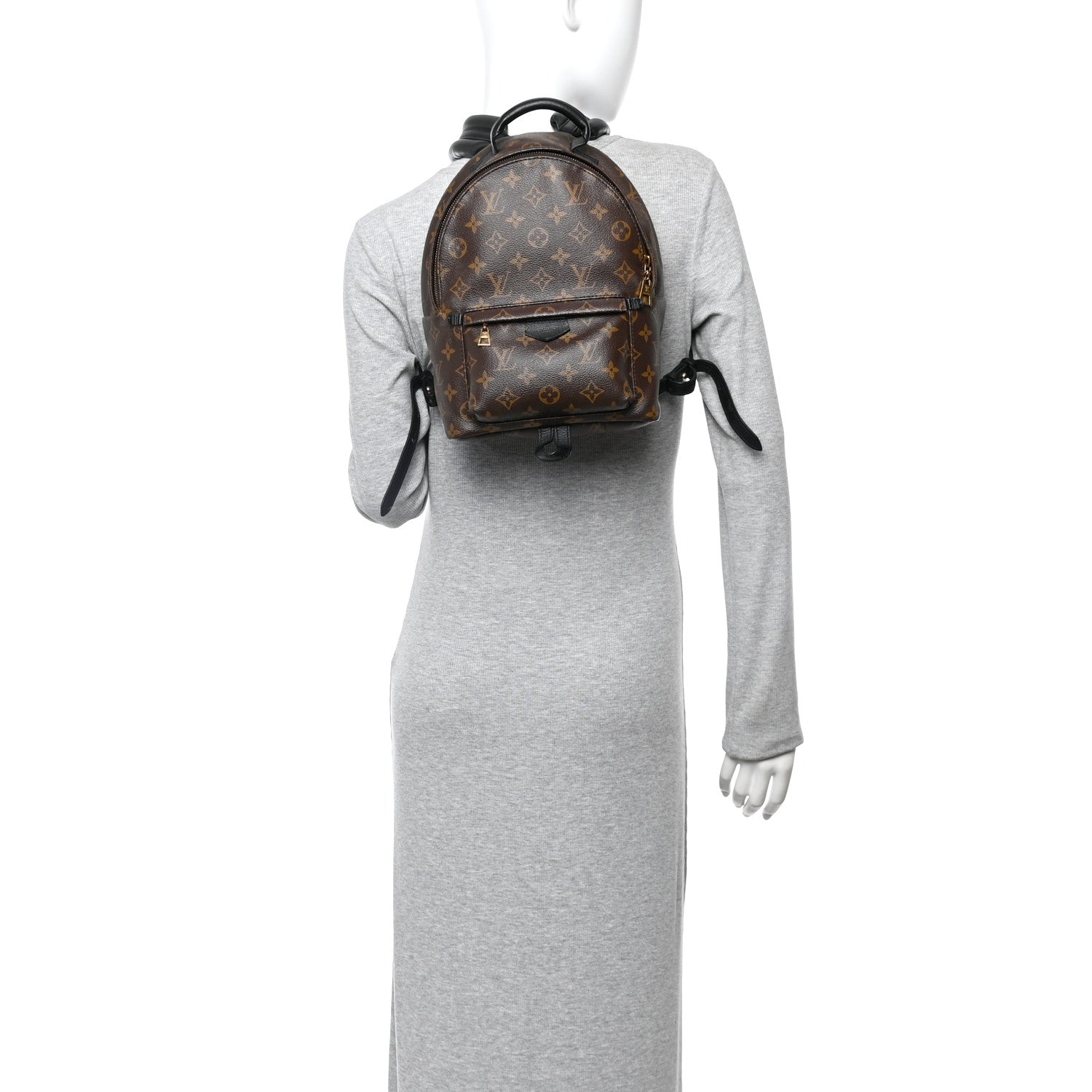 Louis Vuitton Monogram Palm Springs Backpack PM