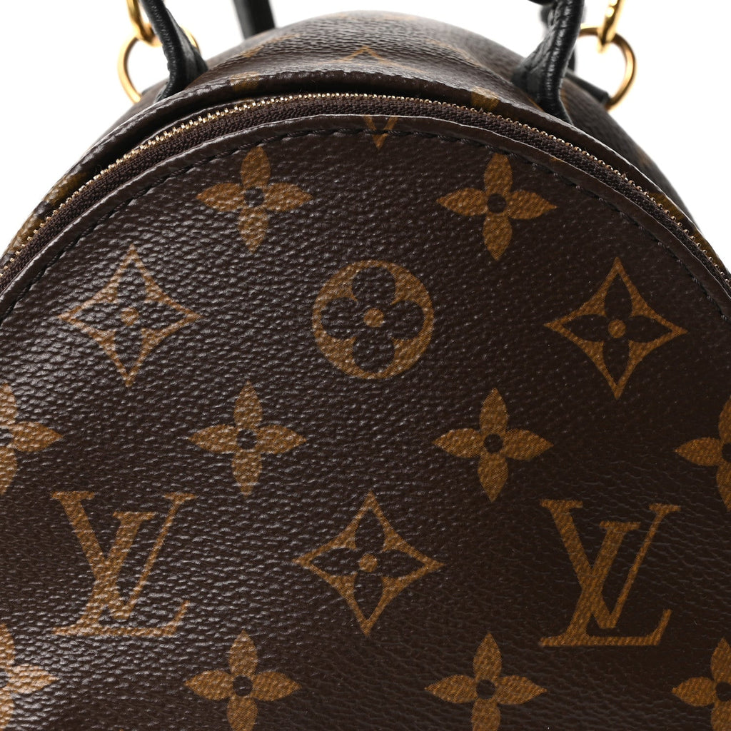 Louis Vuitton Monogram Palm Springs Backpack Mini