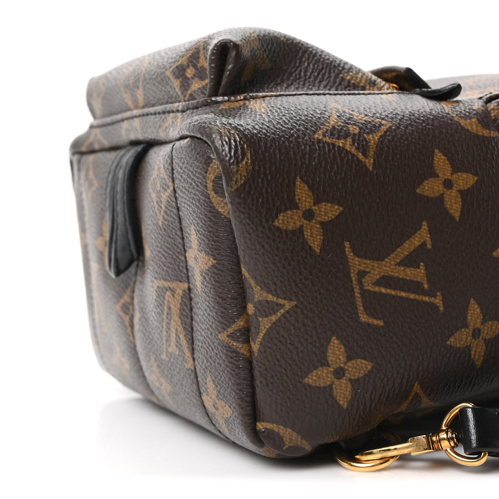 Louis Vuitton Monogram Palm Springs Backpack Mini