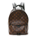 Louis Vuitton Monogram Palm Springs Backpack PM
