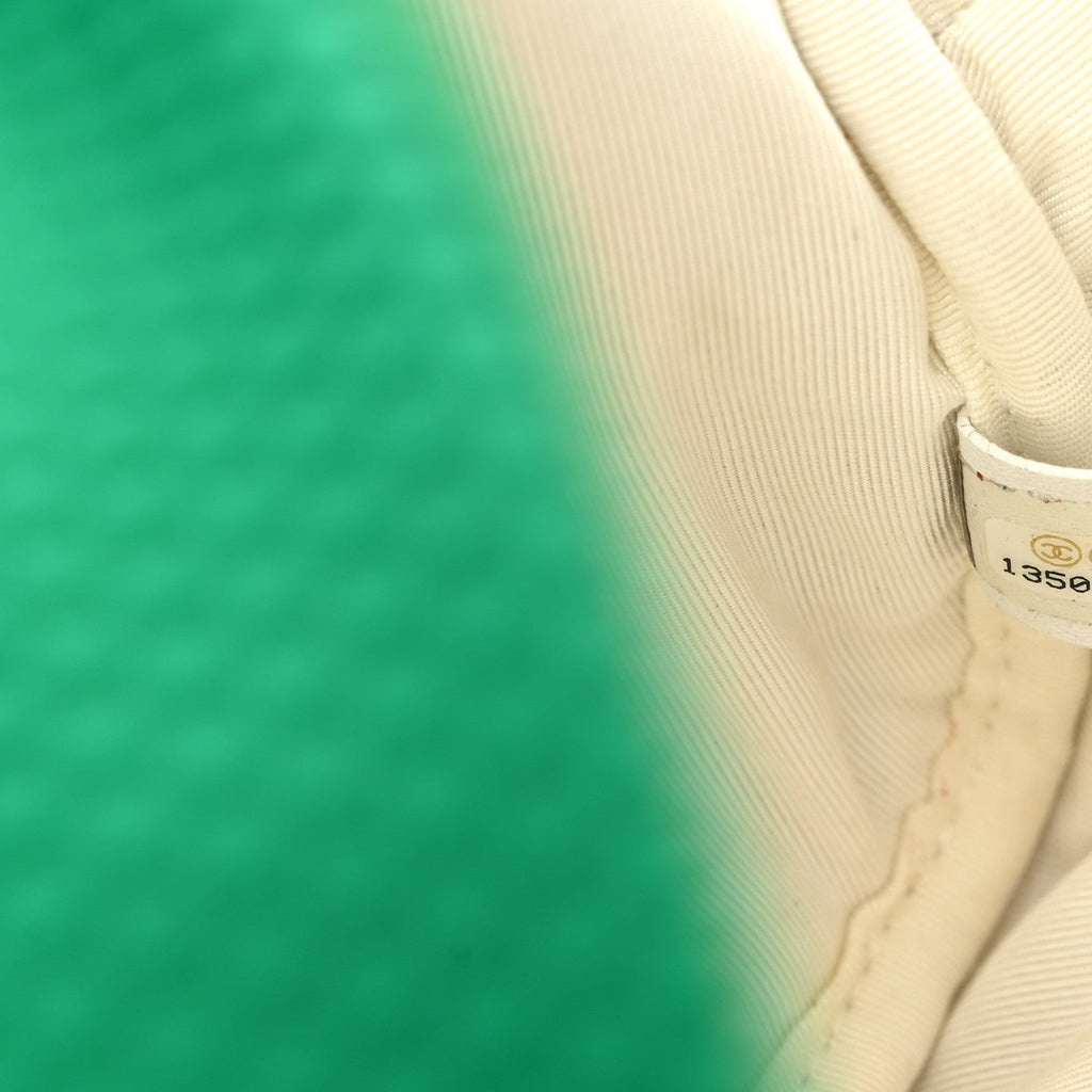 Chanel Mesh Fabric Quilted Camera Bag Green White