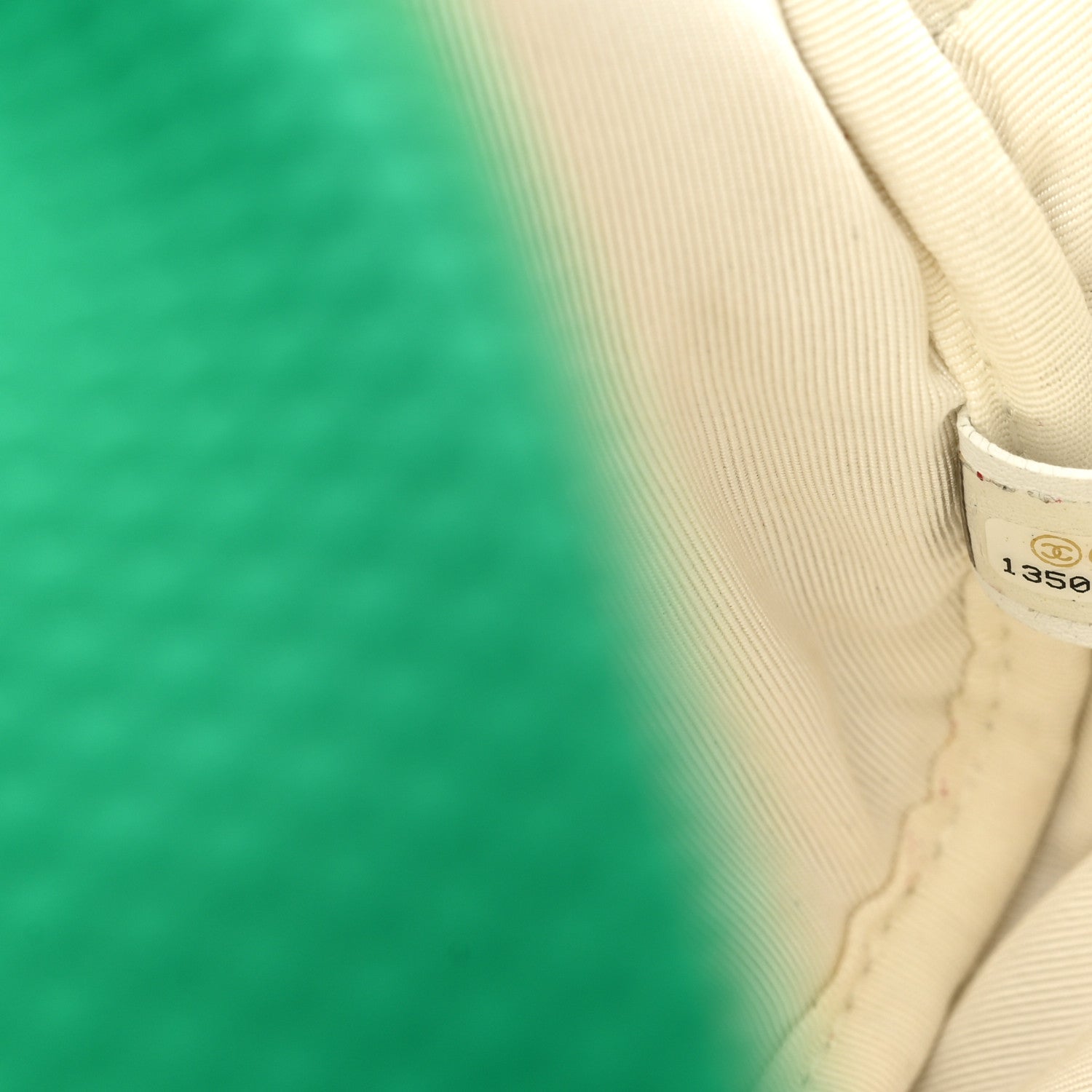 Chanel Mesh Fabric Quilted Camera Bag Green White