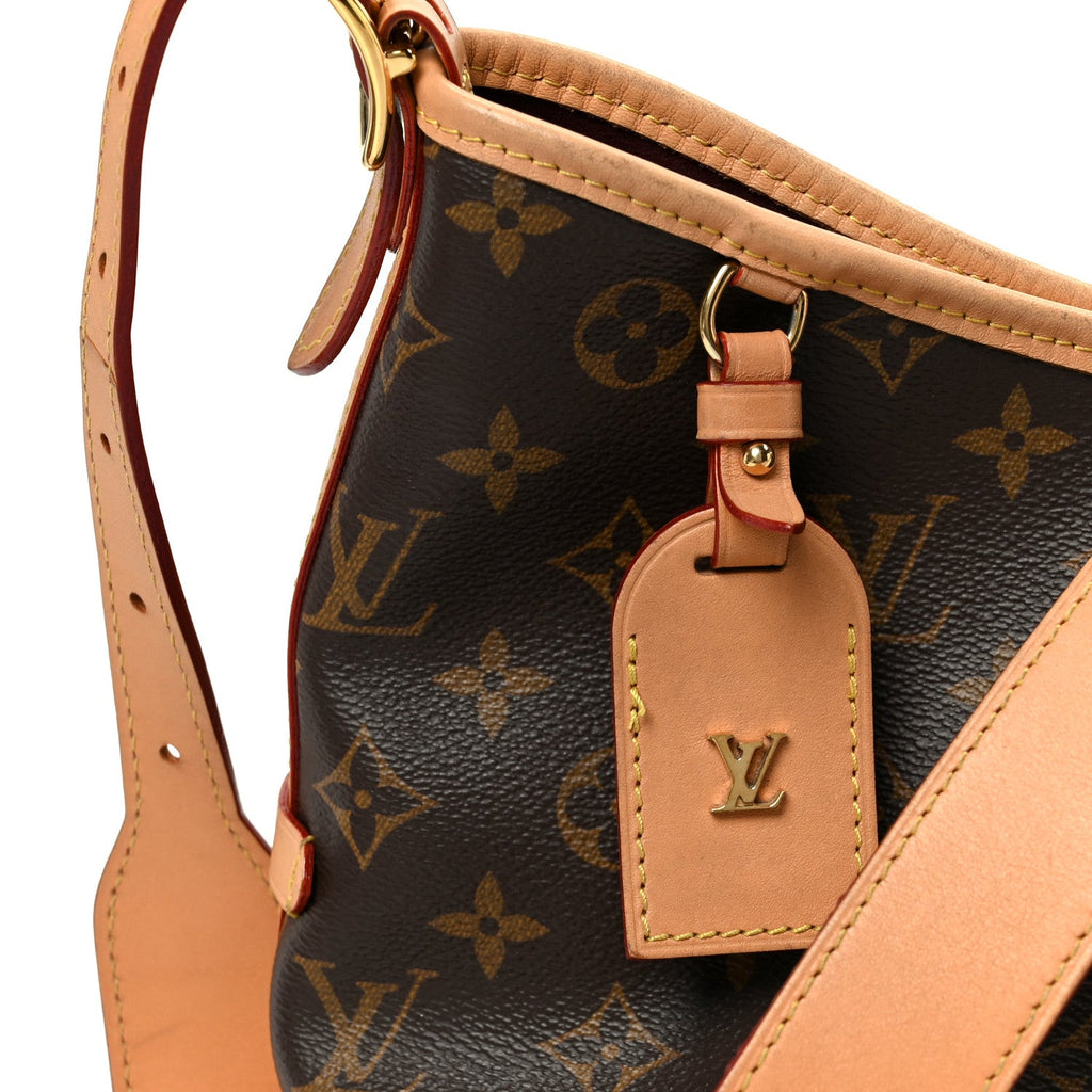 Louis Vuitton Monogram CarryAll PM