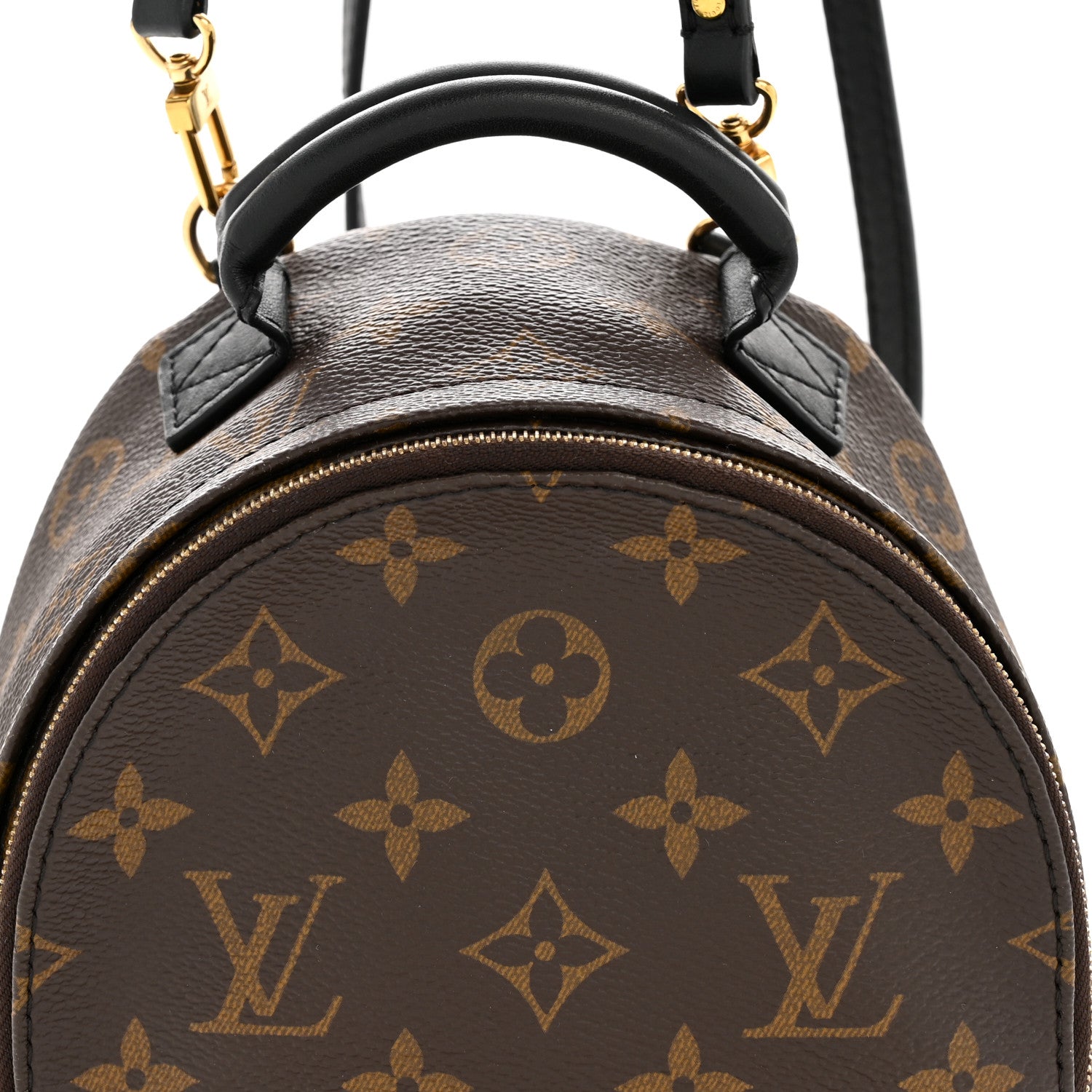Louis Vuitton Monogram Palm Springs Backpack Mini