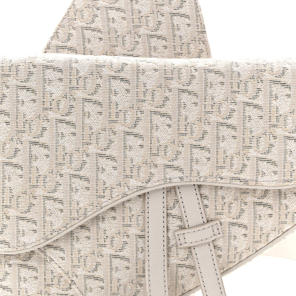 Christian Dior Oblique Mens Saddle Bag Grey