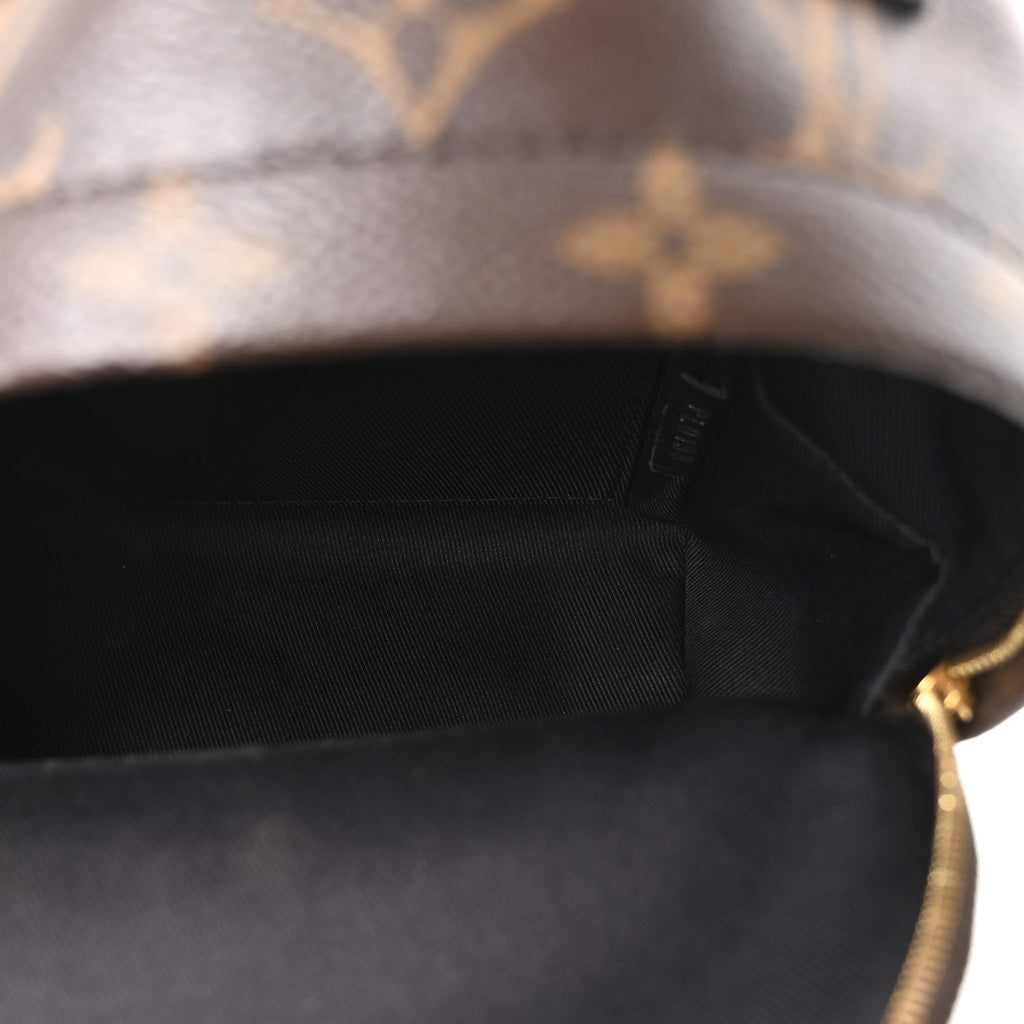 Louis Vuitton Monogram Palm Springs Backpack Mini