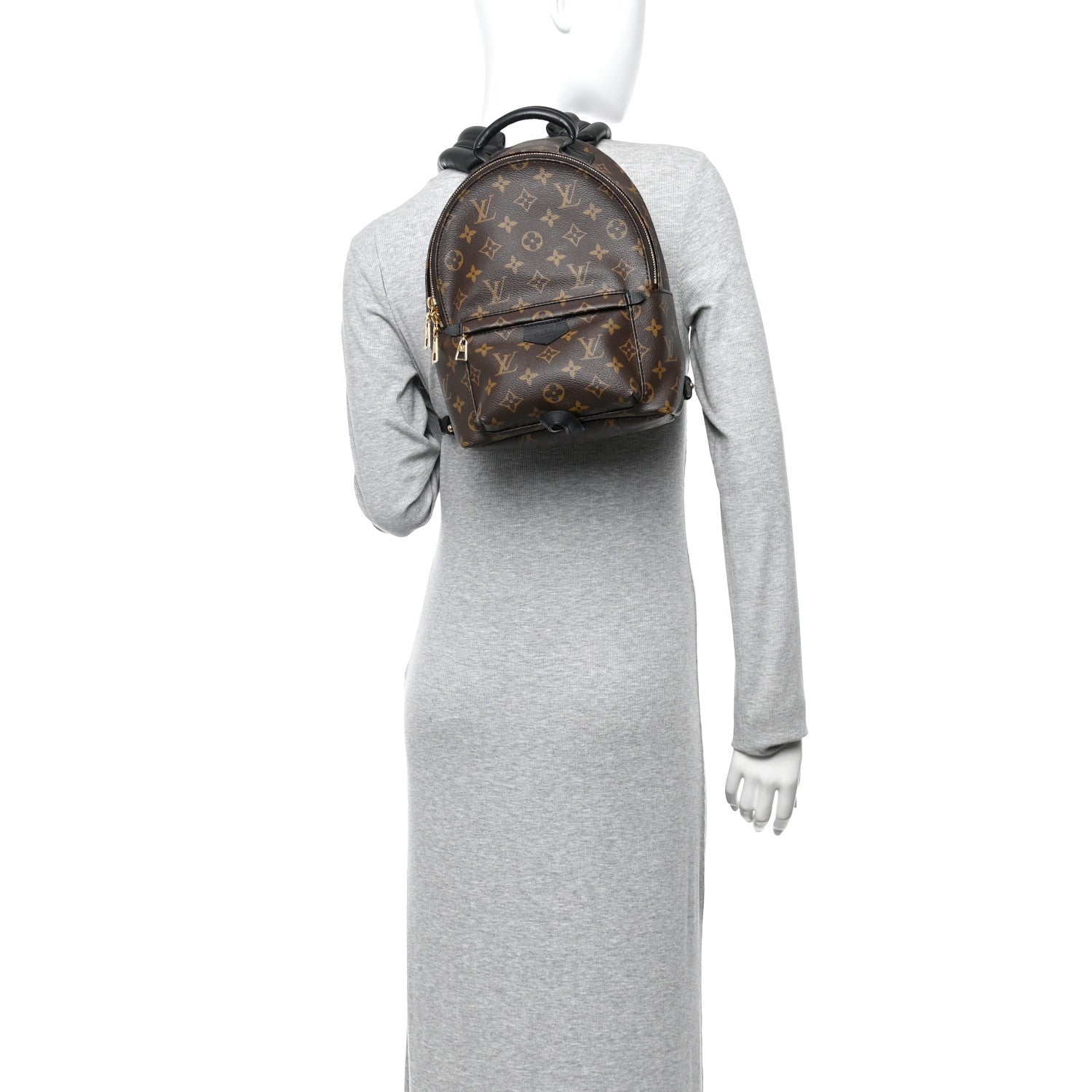 Louis Vuitton Monogram Palm Springs Backpack PM
