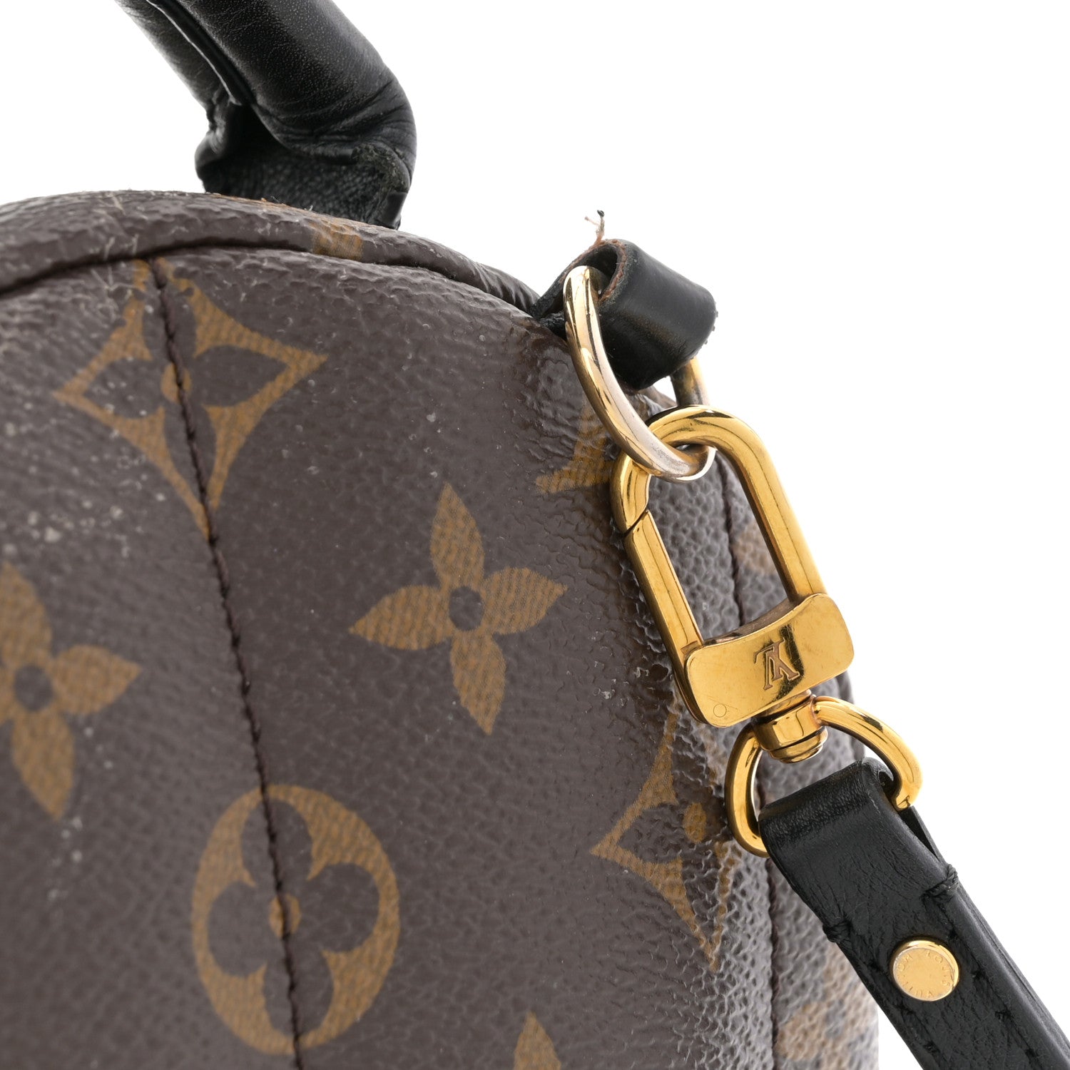 Louis Vuitton Monogram Palm Springs Backpack Mini