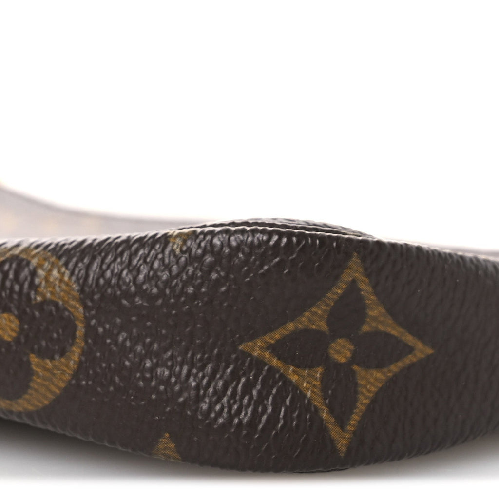 Louis Vuitton Monogram Mini Pochette Accessories