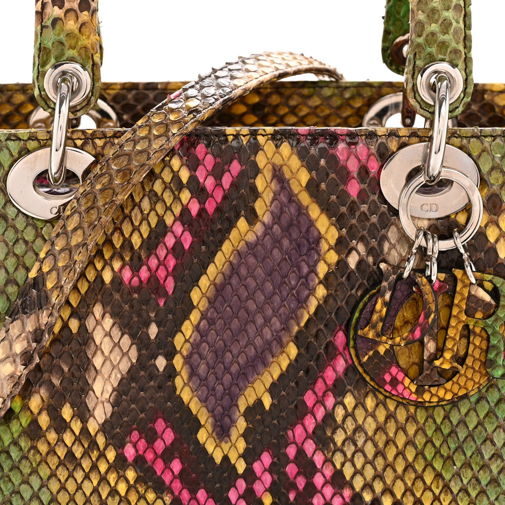 Christian Dior Snakeskin Medium Lady Dior Multicolor