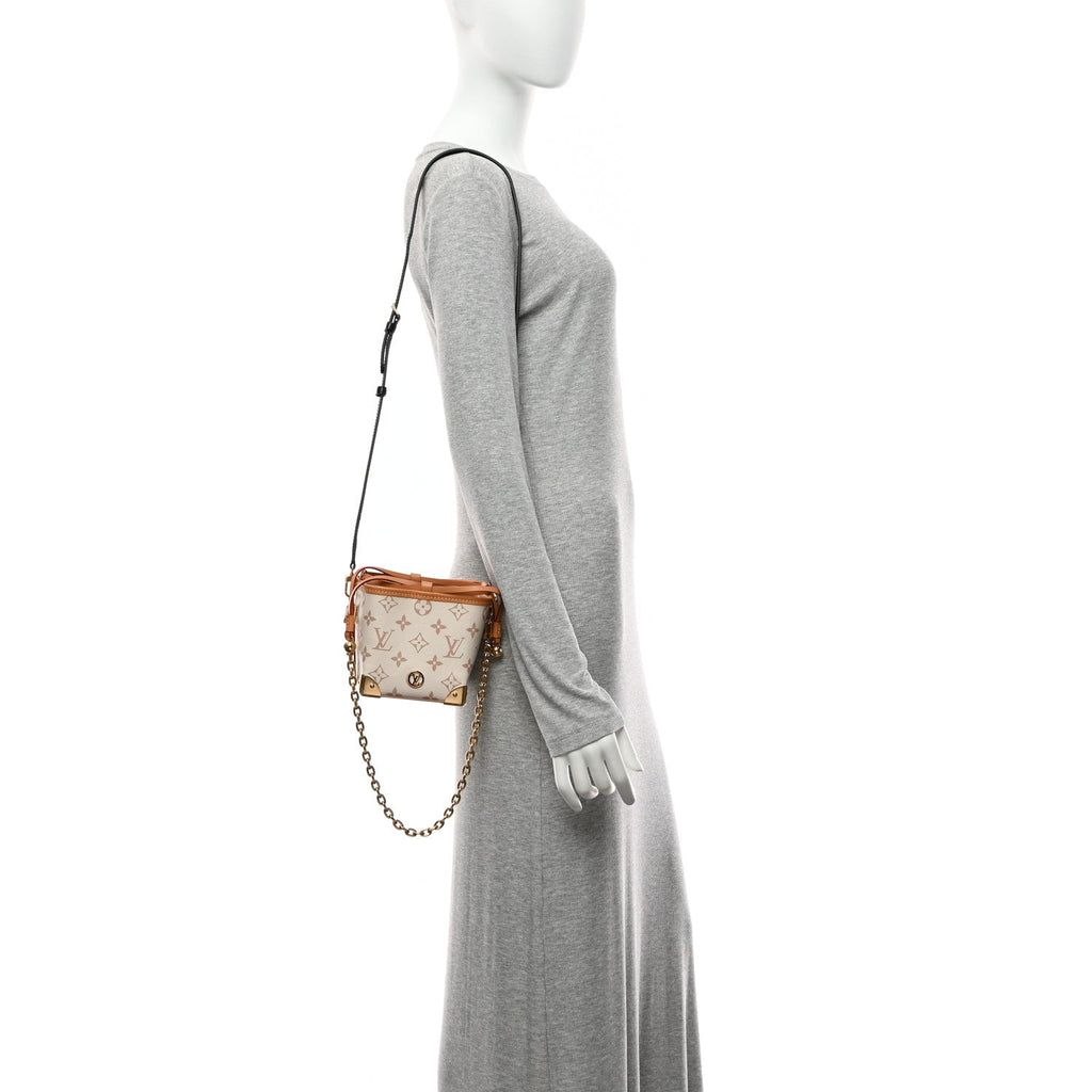 Louis Vuitton Monogram Dune Noe Purse