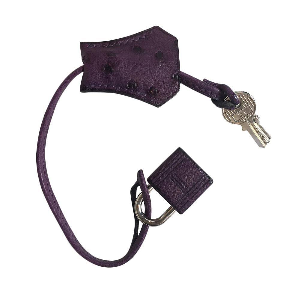Hermès Birkin 30 Raisin Ostrich Bag