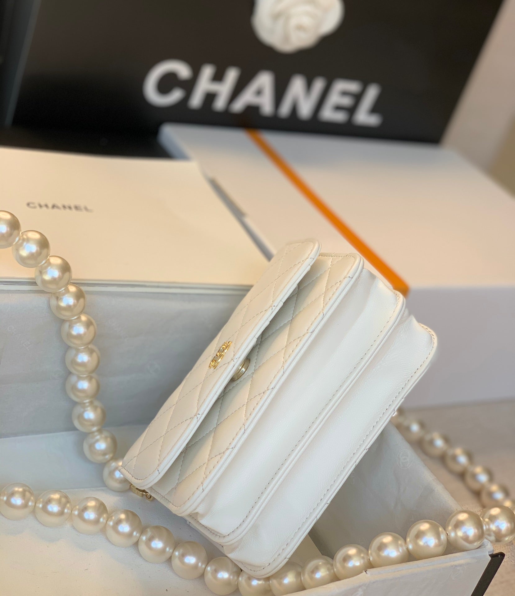 Chanel - Luxury Bag - CHL - 834