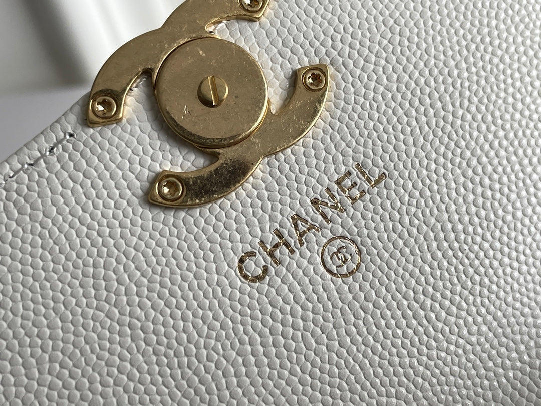 Chanel - Luxury Bag - CHL - 450